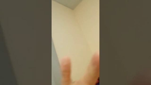 Что это такое самбо смотреть онлайн