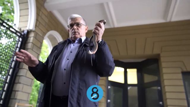 Директор одесского зоопарка Игорь Беляков учил правильному обращению со змеями смотреть онлайн