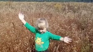 Село Давыдово, Владимирская область.