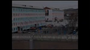 Гио пика чёрный дельфин