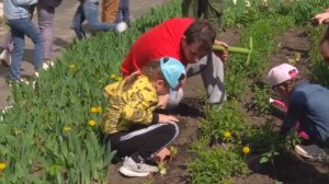 Посадка цветов в детских садах
