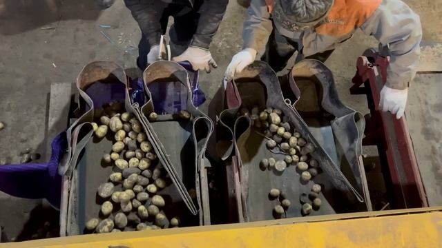 НАША СОРТИРОВКА В РАБОТЕ