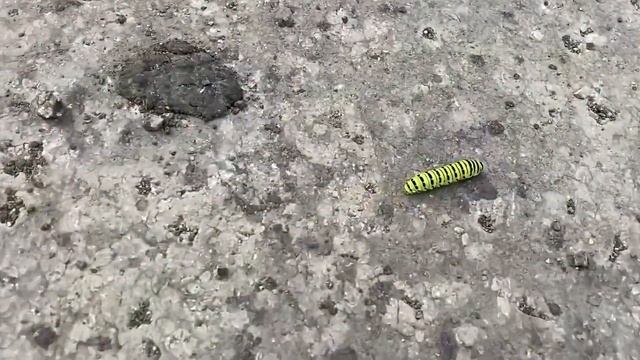 Сплав по Чусовой в последние выходные лета-2021 смотреть онлайн