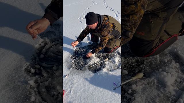 Щука-монстр 98 см смотреть онлайн