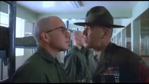 Цельнометаллическая оболочка Хартман