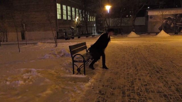 Блок. Незнакомка