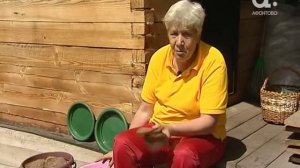 ГОЛОВА САДОВАЯ. Подкормка из хлеба для растений