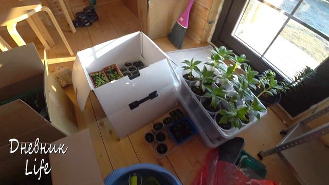 ЗАБОЛЕЛА! УКУСИЛ КЛЕЩ! ОТВЕЗЛА РАССАДУ НА ДАЧУ. смотреть онлайн