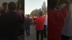 Туй дар галаба