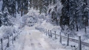 Павел Кашин - Русская