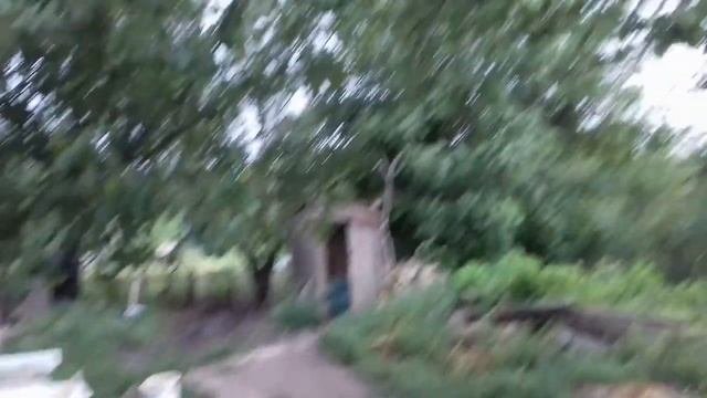 Огурец Кибрия и Арктика. Готовимся на второй оборот огурца в Теплице 13.08.21г.
