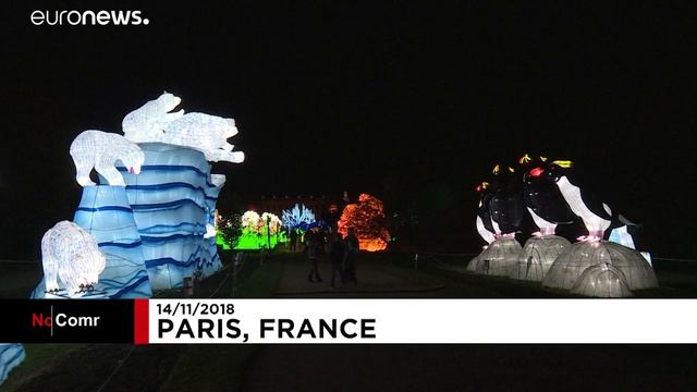 «Освещение видов» смотреть онлайн