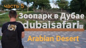 Зоопарк в Дубае. Dubai Safari Park. Часть 5. Арабская пустня и Африканская деревня.