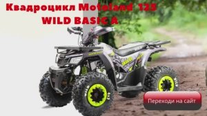 Доброе время ! ??Квадроцикл Motoland 125 WILD BASIC A cтильный сильный !