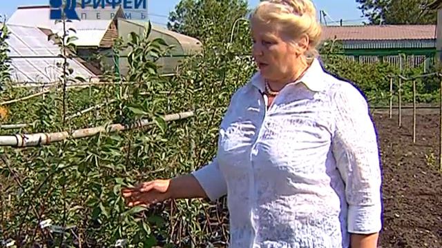 Зелёный участок. Плодовые деревья смотреть онлайн