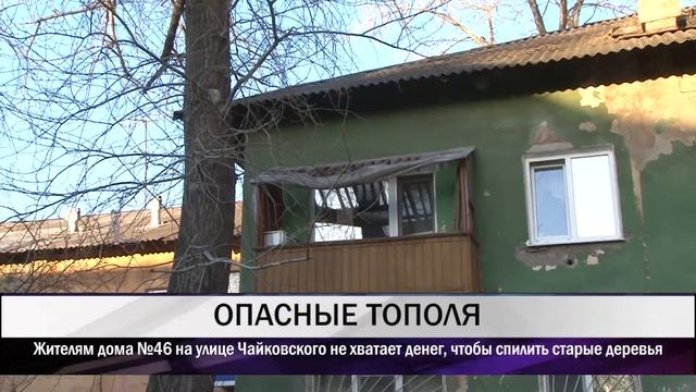 Жителям дома №46 на улице Чайковского не хватает денег, чтобы спилить старые деревья смотреть онлайн