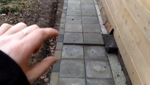 Отмостка у дома Натуральный камень и плитка