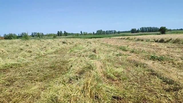 Сгребание сена в валки. Сенокос 2022. Сложности работы.
