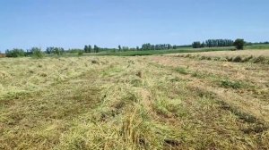 Сгребание сена в валки. Сенокос 2022. Сложности работы.