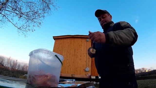 Шашлык из картошки с салом на мангале смотреть онлайн