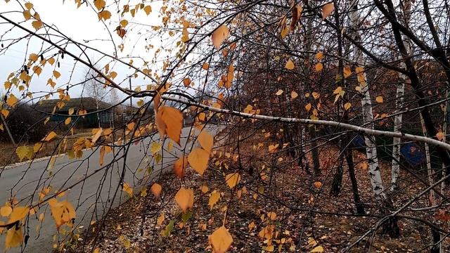 24 ноября-День ФЕДОРА СТУДЕНОГО.Как узнать о своем будущем и погадать о суженом.Народные приметы смотреть онлайн