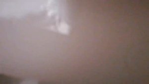 Тутор на бумажные миски для собак🐶
