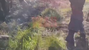 Штурм Новомихайловки Ближний бой 11-го полка НМ ДНР