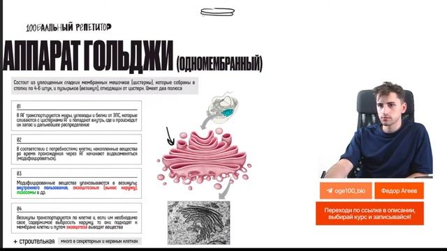 Строение эукариотической клетки  Биология ОГЭ  Федор Агеев  100балльный