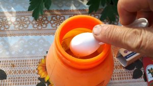 Ягодные кусты. Обработка малины от паутинного клеща. Срочно!