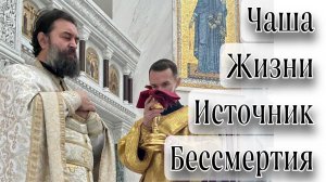 Причащайтесь, чтобы исцелиться. Протоиерей  Андрей Ткачёв.