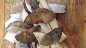 Приправа Грибной порошок в домашних условиях