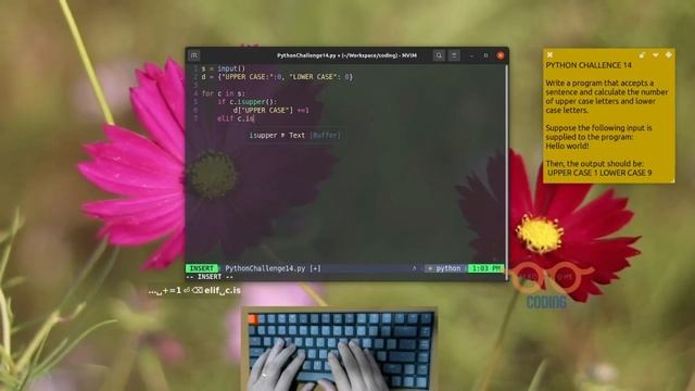 Learning Python Fast and Simple - Challenge 14 | ASMR Programming смотреть онлайн