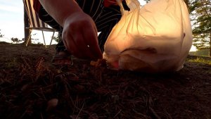 Убираем мусор в лесу