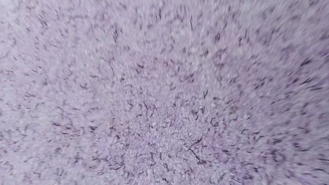 3 июня 2022 г. смотреть онлайн