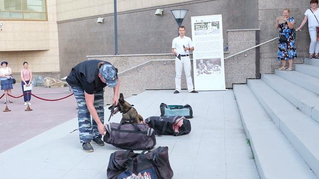 День фронтовой собаки в музее смотреть онлайн