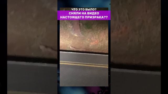 ЧТО ЭТО БЫЛО?? Сняли на видео настоящего призрака??