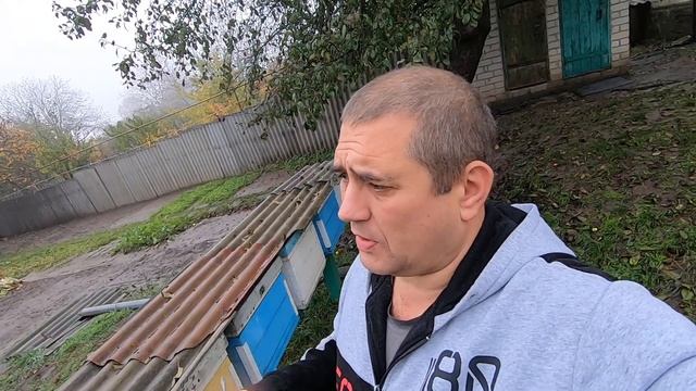 ✅Это важно для хорошей зимовки пчел! Расстояние от рамок до дна улья! смотреть онлайн