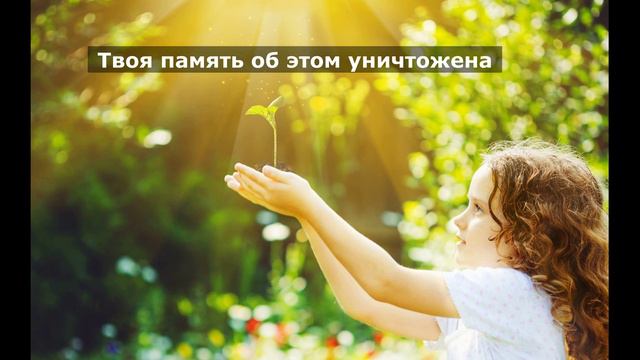 Презентация книги "Идеальная реальность. Руководство по эксплуатации"