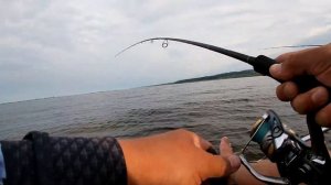 Щуки,Берши.Рыбалка на Нижнекамском водохранилище