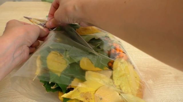 Как сделать сову из листьев. Осенние поделки из природного материала в детский сад и школу. смотреть онлайн