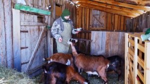 КУПИЛ 2 ДОМА В ДЕРЕВНЕ _ СКОЛЬКО ОНИ ЕЩЁ ПРИНЕСУТ!_ _ ПОРА РАСШИРЯТЬСЯ