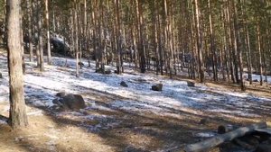 Поездка в Урочище Дворцы Чита Забайкальский край Филдер в бездорожье toyota corolla fielder 141