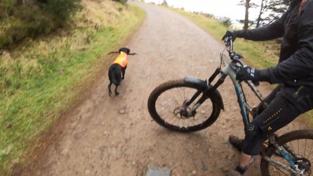 I tried 27.5" wheels on my 29" enduro bike... смотреть онлайн
