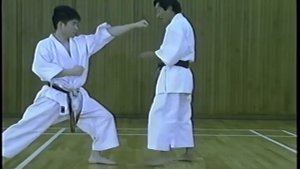 Hoshu Ikeda. Jyoshinmon demonstration. Демонстрация техники Дзёсинмон Икеда Хошу.