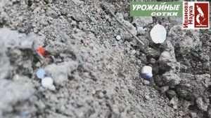 Красное ЧУДОВИЩЕ вылазит из земли, впивается в кожу и разжижает плоть! Красный клещ: друг или враг?
