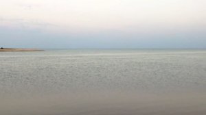 Ловлю пеленгаса. Азовское море. Рыбалка