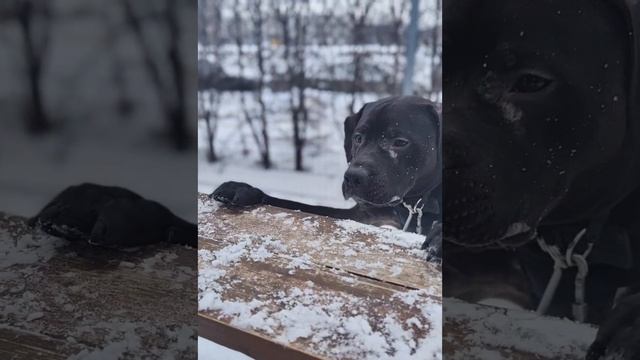 прятки)