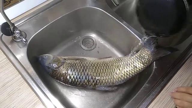 как легко и быстро чистить рыбу,карп,амур. смотреть онлайн