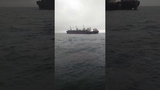 Морские теплоходы в Черном море