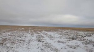 Охота на зайца по белой тропе. Разбудили косого, лежал до последнего! Вставай!!!